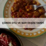 Chia ve Yaban Mersinli Salata Tarifi